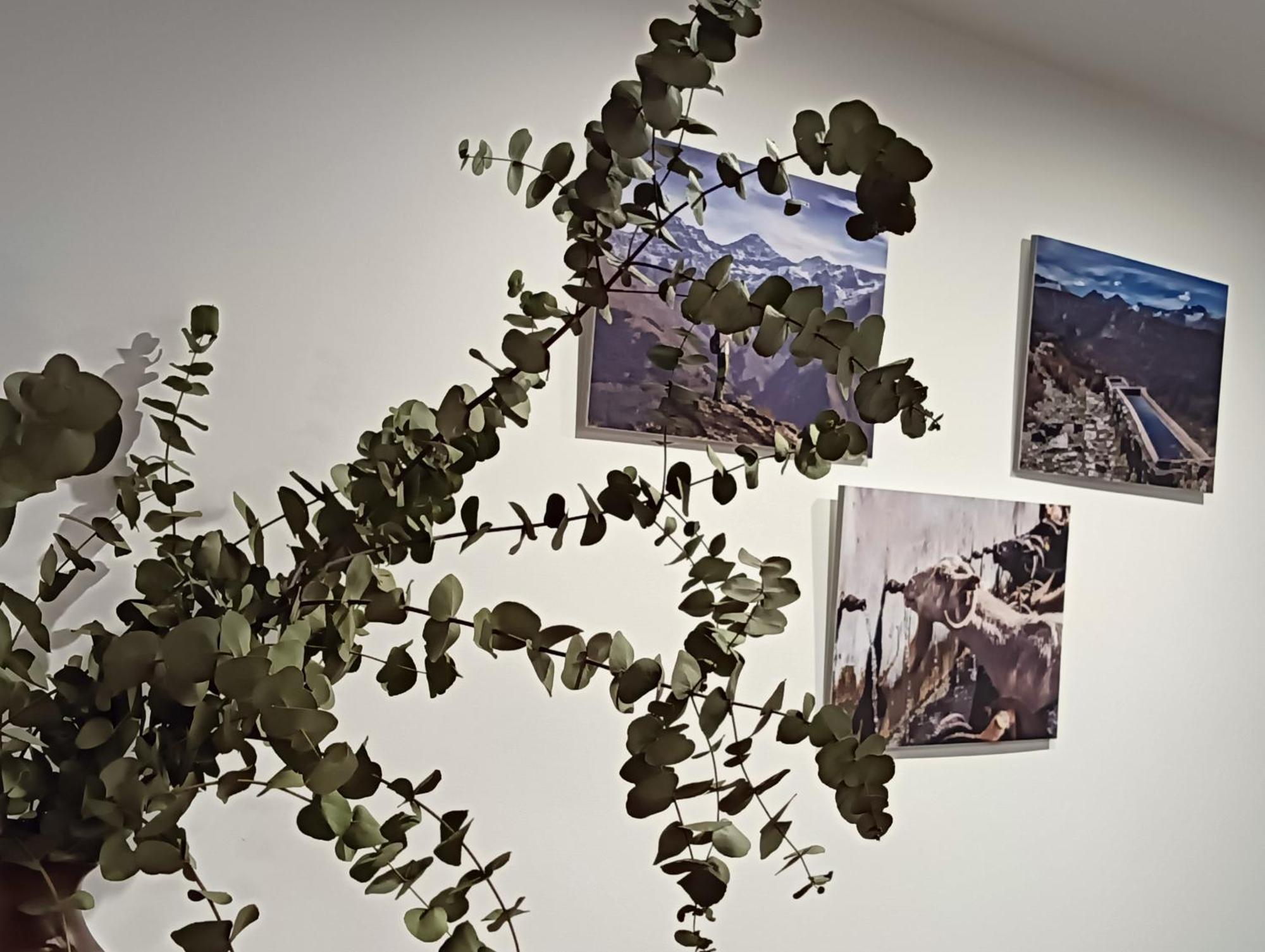 La Casa De La Plaza Lejlighed Güéjar Sierra Eksteriør billede
